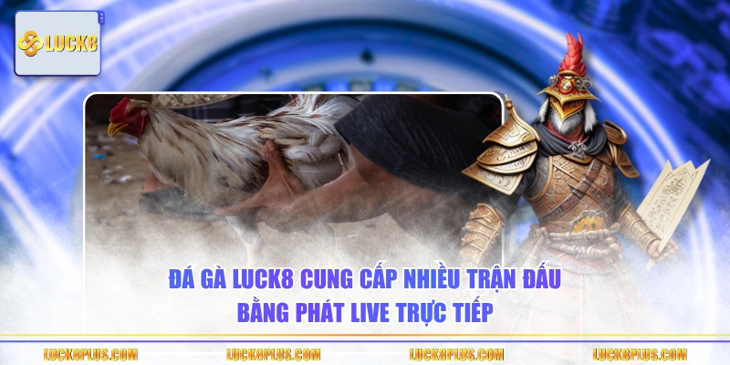Đá gà LUCK8 cung cấp nhiều trận đấu bằng phát live trực tiếp 
